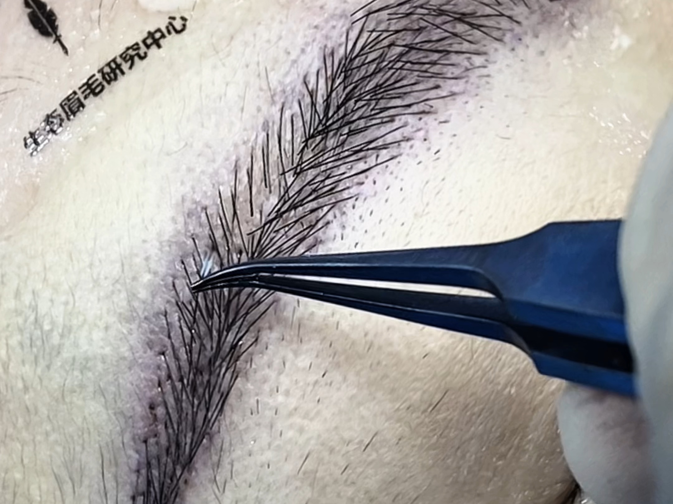 美妆#植眉毛#化妆