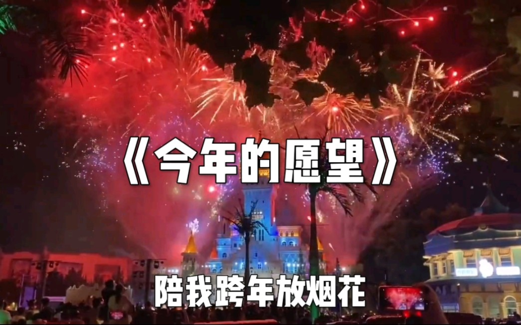 今年的愿望就是,希望你可以陪我过冬,陪我跨年放烟花,陪我喝奶茶,陪我