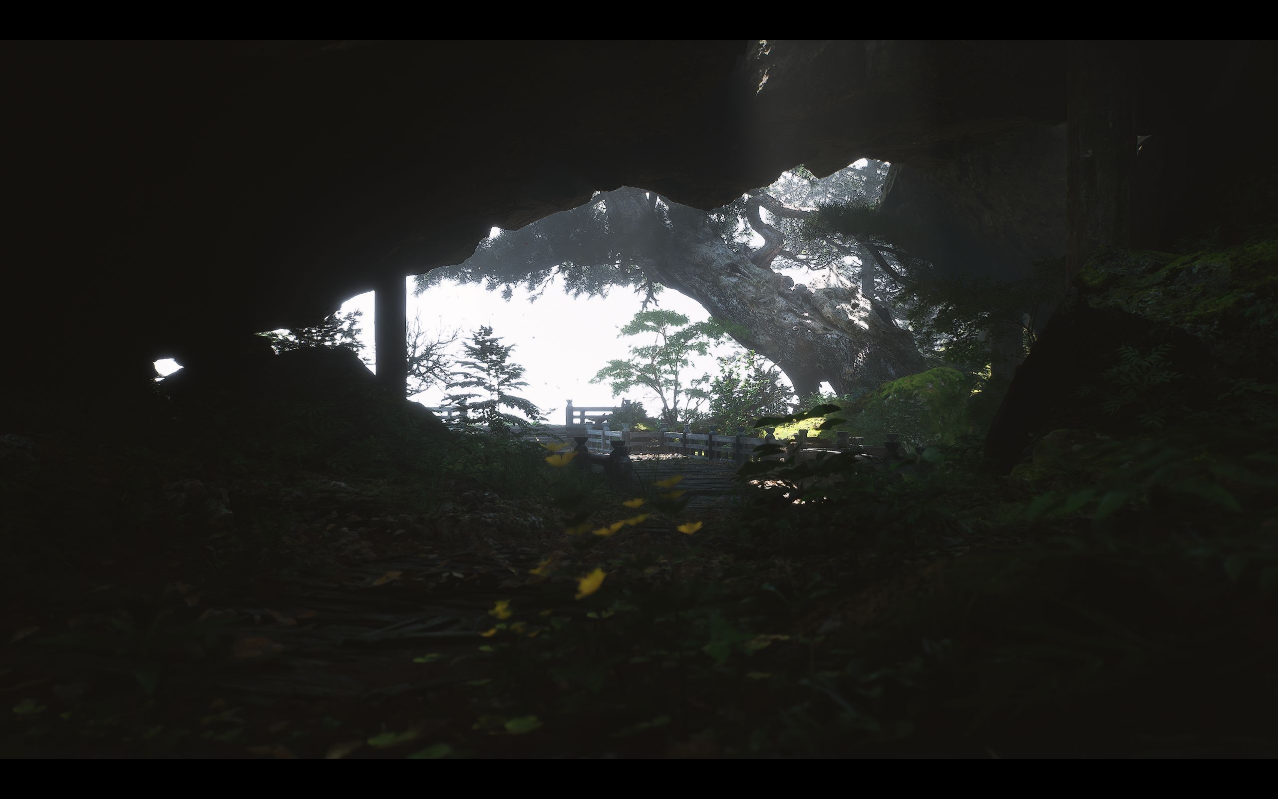 奶93大哥哥的精彩表现