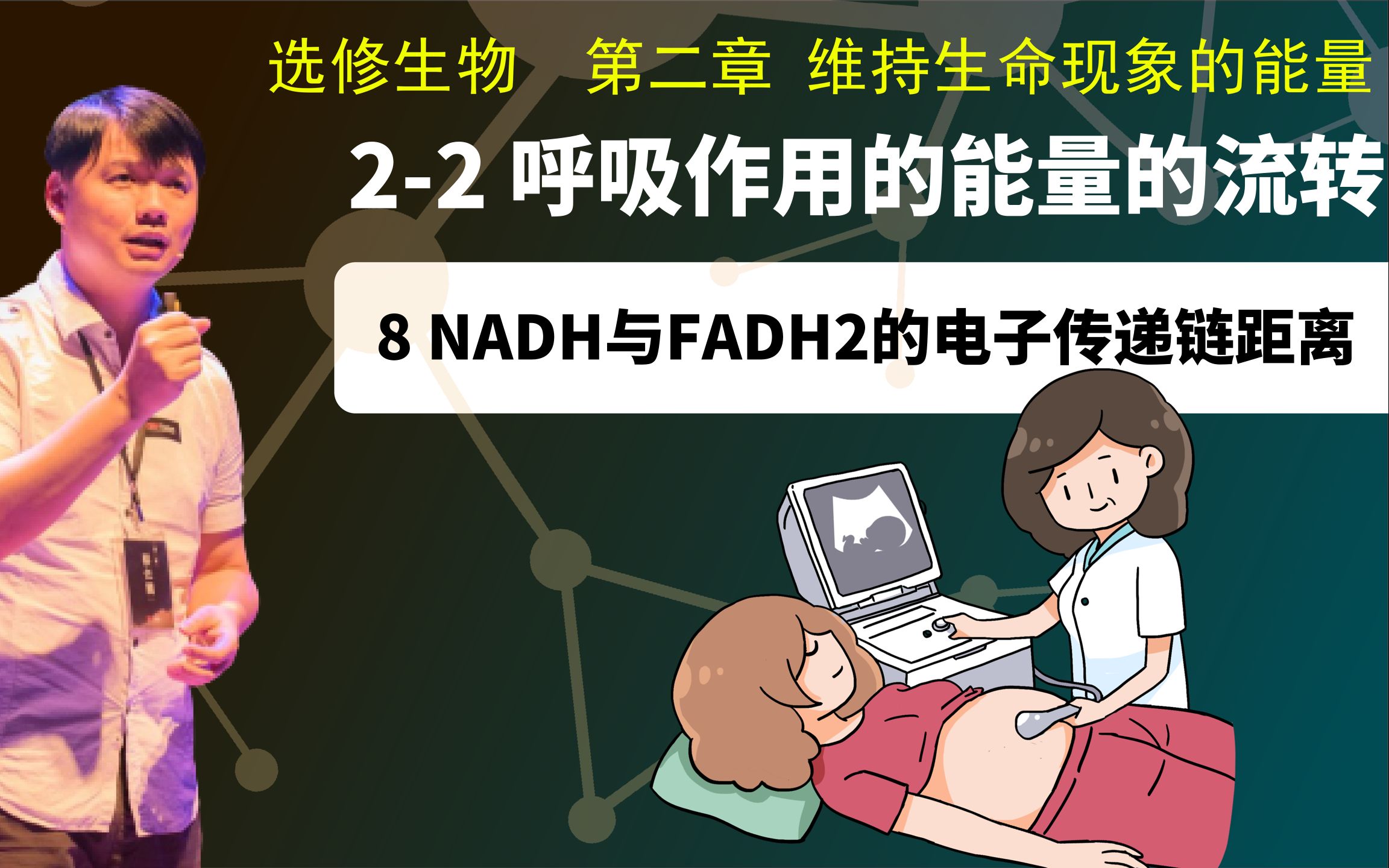 选修生物22.8 NADH与FADH2的电子传递链距离哔哩哔哩bilibili