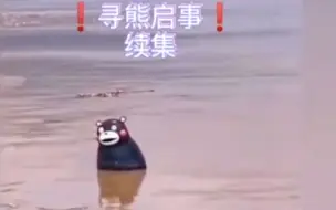 Télécharger la video: 漂流的熊本熊还有一只没回家 ：“二熊”已漂到忠县 请下游朋友帮忙寻找