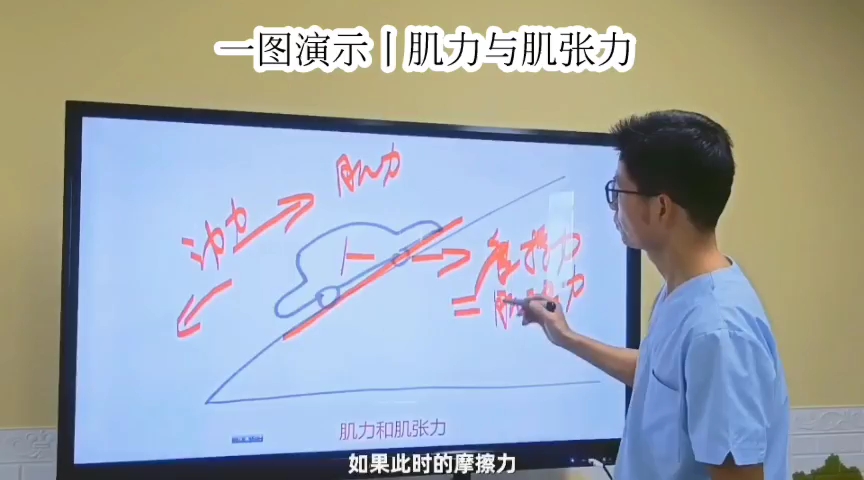 一图演示丨肌力与肌张力 肌张力(3)哔哩哔哩bilibili