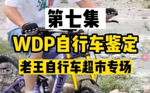 下载视频: 【WDP自行车鉴定】老王自行车超市专场(第七集)