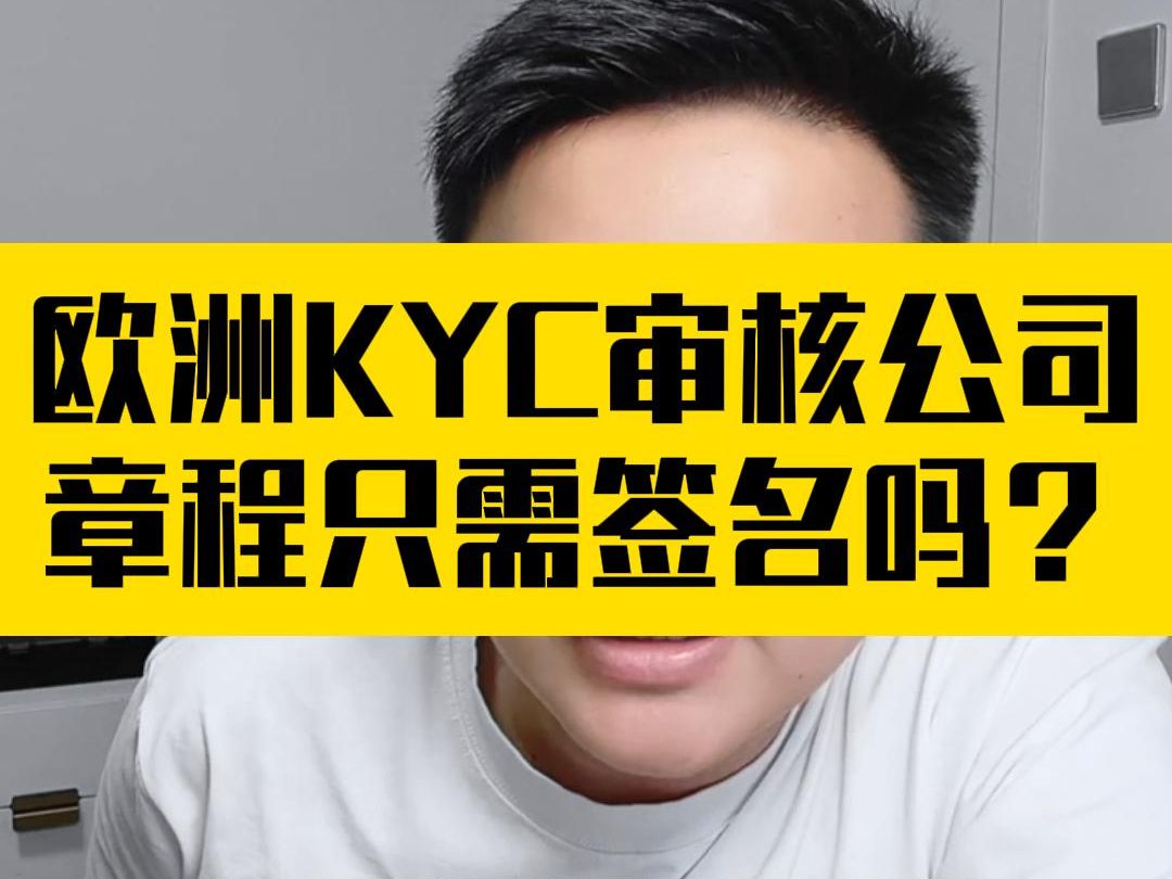 欧洲KYC审核公司章程只需签名吗?哔哩哔哩bilibili