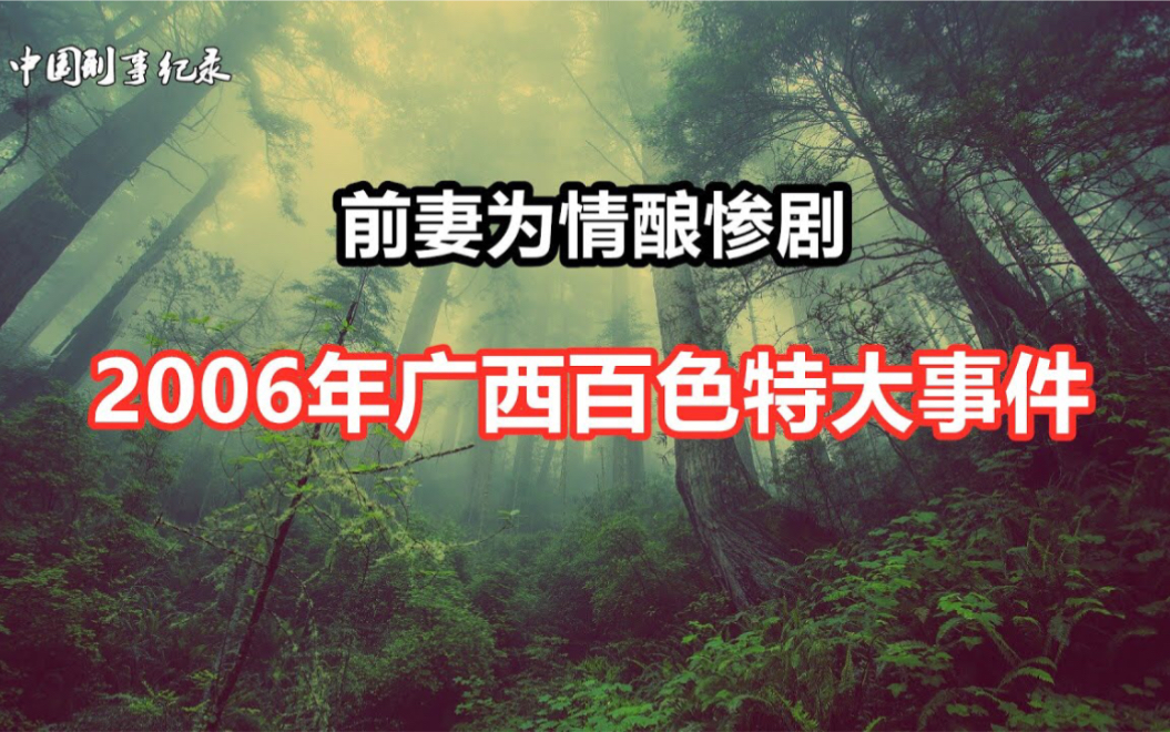 前妻为情酿惨剧......2006年广西百色特大事件【中国真实案件】哔哩哔哩bilibili