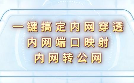 一键搞定内网穿透|内网端口映射|内网转公网哔哩哔哩bilibili