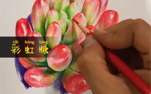 Video herunterladen: 多肉植物 虹之玉