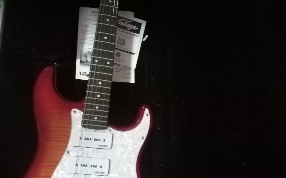 【电吉他】小林信一《地狱的轮回》金属卡农17年的渣弹