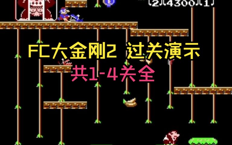 [图]FC 大金刚2 Donkey Kong Jr. 过关演示