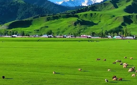 [图]【治愈系风景】大自然