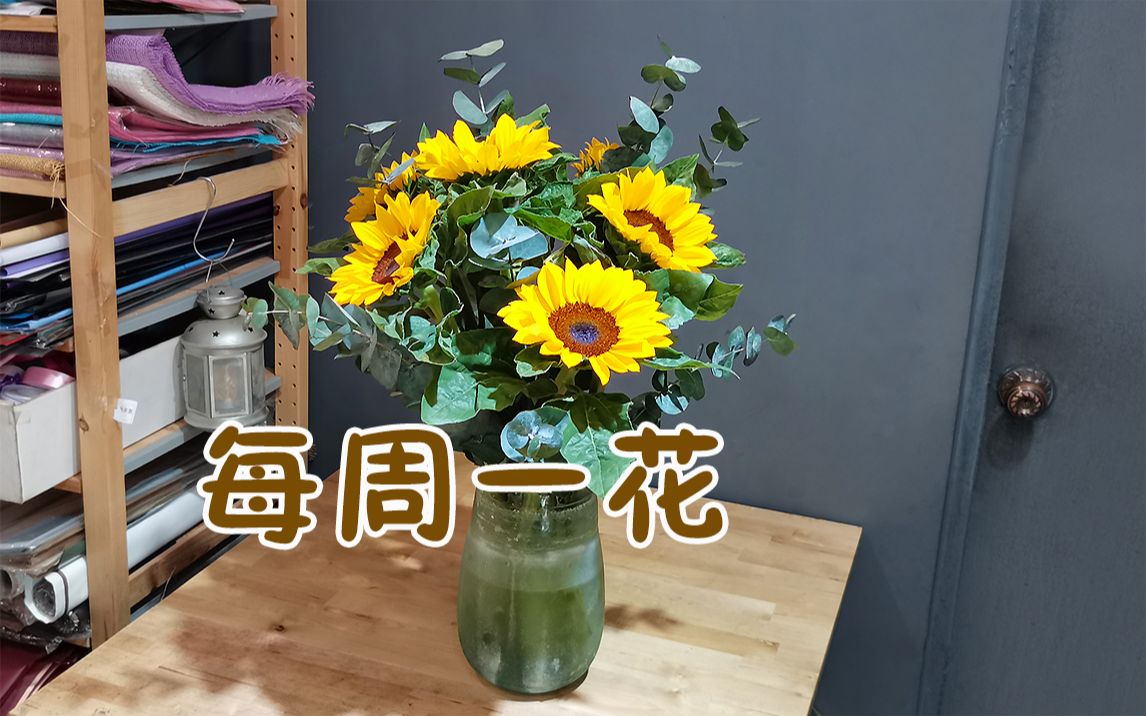 大叔说花每周一花11向日葵尤加利瓶插花打格法