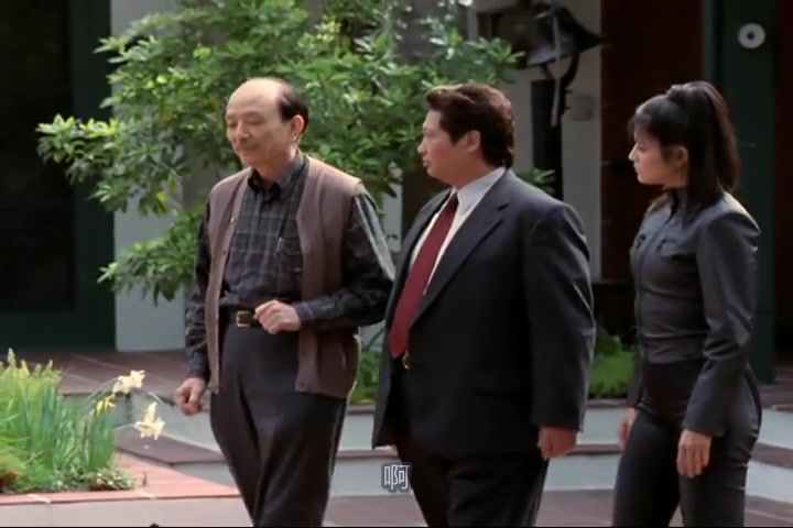 【过江龙】【洪金宝】martial law-s02e21