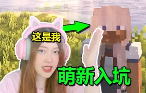 Download Video: 当10年老玩家重回MC！！我的世界原版生存第一集