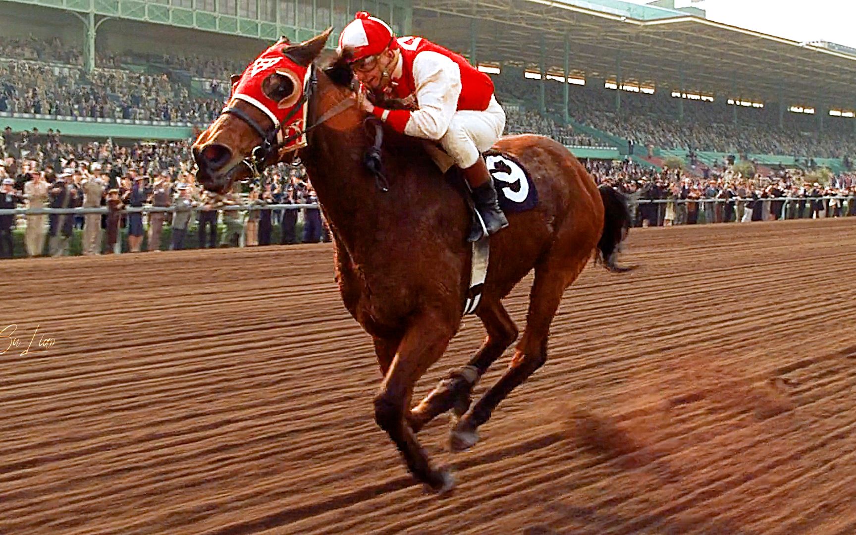 "每个人的骨子里,都是一匹脱缰的野马"