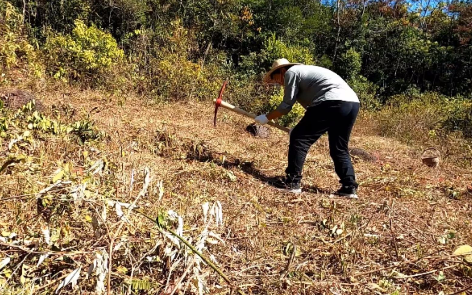 [图]自建木屋第二天动土，有点疯狂的梦想，隐居深山花泉林歌即将实现