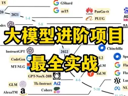 Download Video: B站最全的LLM大模型实战项目，通俗易懂，2024最新内部版，学完即就业！超级适合小白入门学习