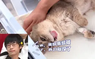 Download Video: 【本视频纯属虚构】暖阳哥哥，粽子我一点也不记仇，猫猫我呀，要变公公喽