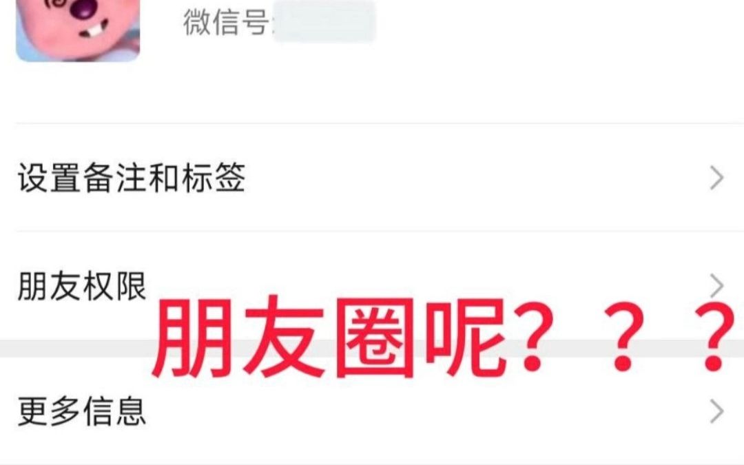 微信主页没有朋友圈是怎么个回事???哔哩哔哩bilibili