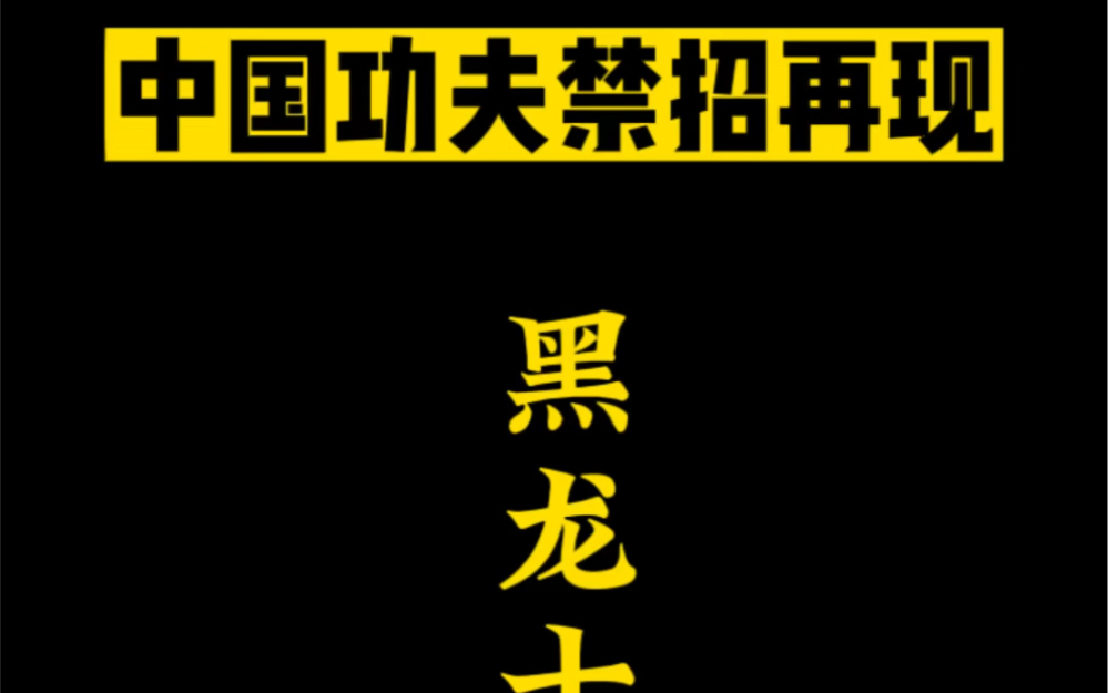 黑龙十八手,十八式大全合集#一招制敌 #防身术 #格斗 #功夫哔哩哔哩bilibili