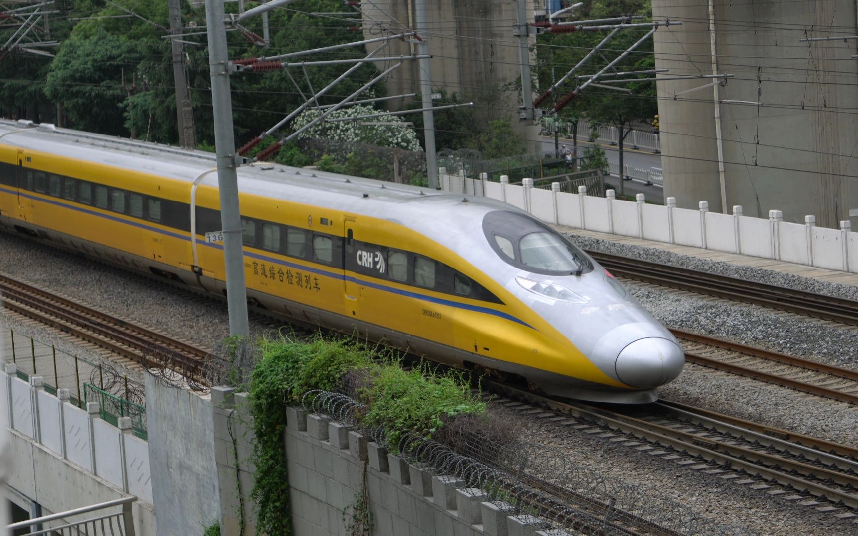 细雨绵绵,偶遇黄医生 380aj-0201