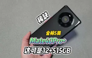 Скачать видео: 华为Mate40Pro+，神话版的存在