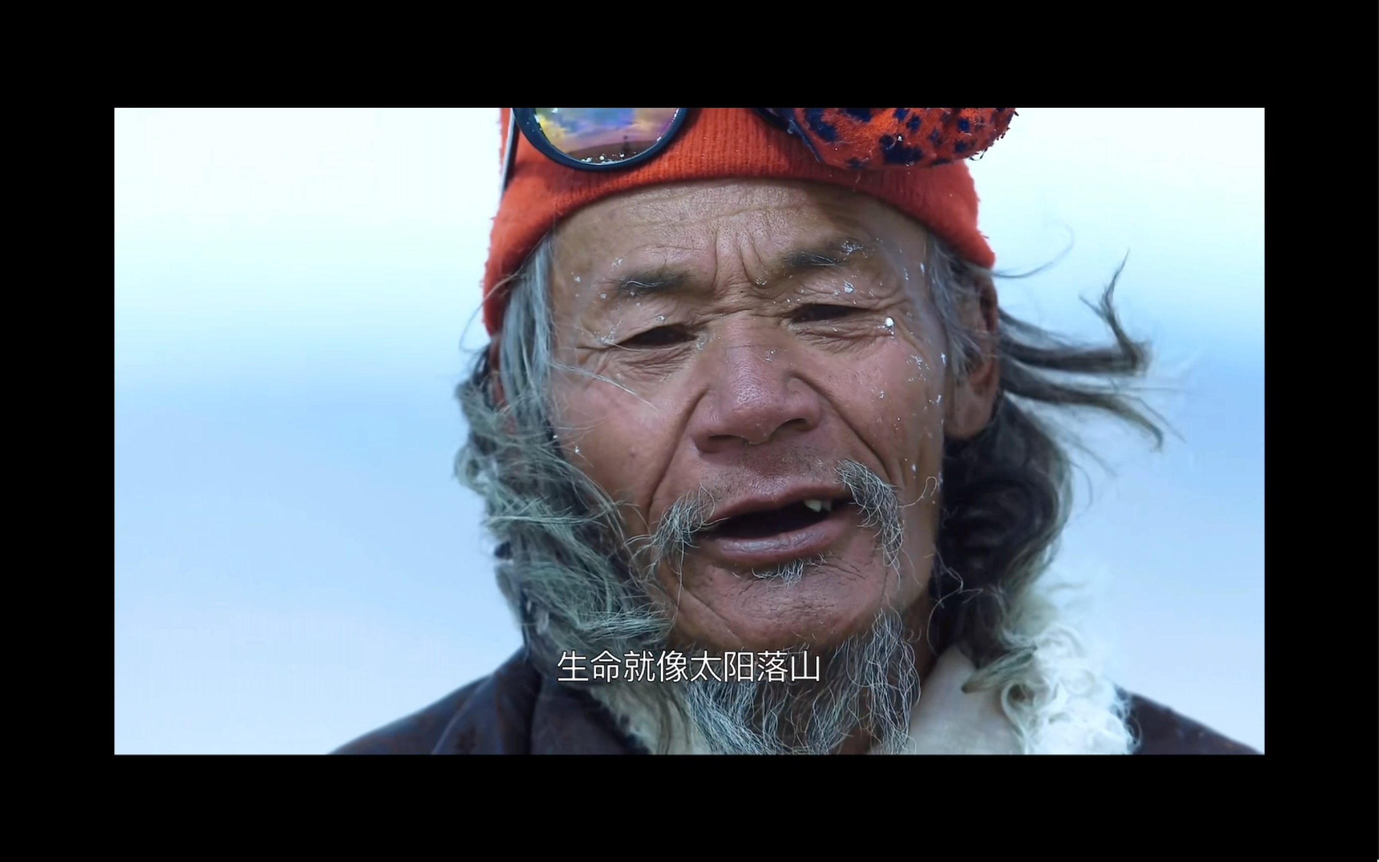 纪录片《极地》_哔哩哔哩_bilibili