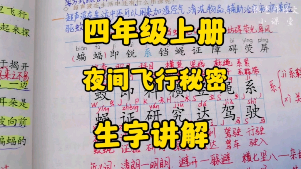 四年级上册:《夜间飞行秘密》生字讲解,识字方法多,学字更快乐!哔哩哔哩bilibili