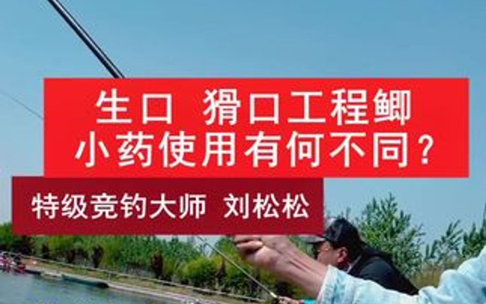 工程鲫鱼的用药思路哔哩哔哩bilibili