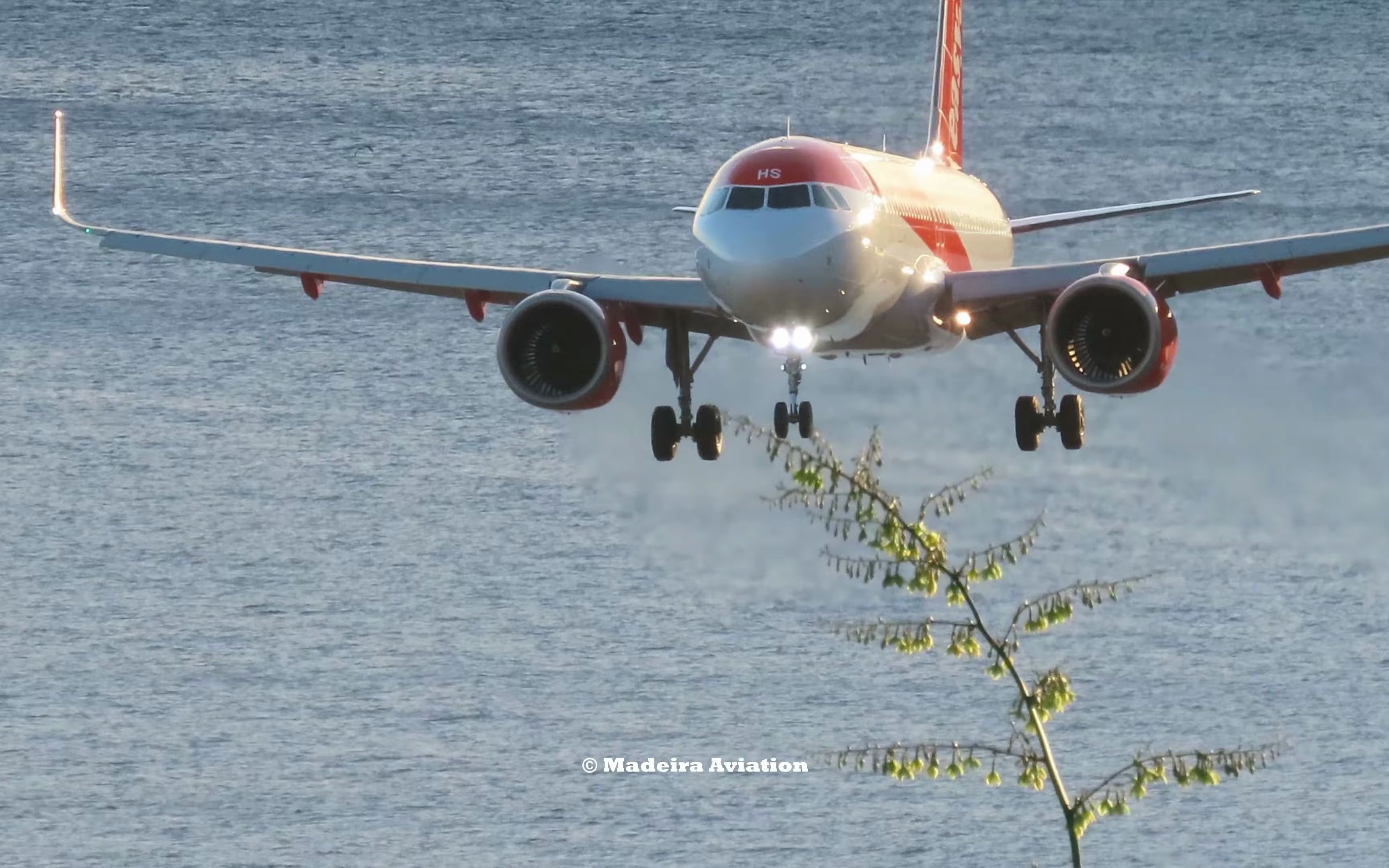 a320neo降落|马德拉机场|4k