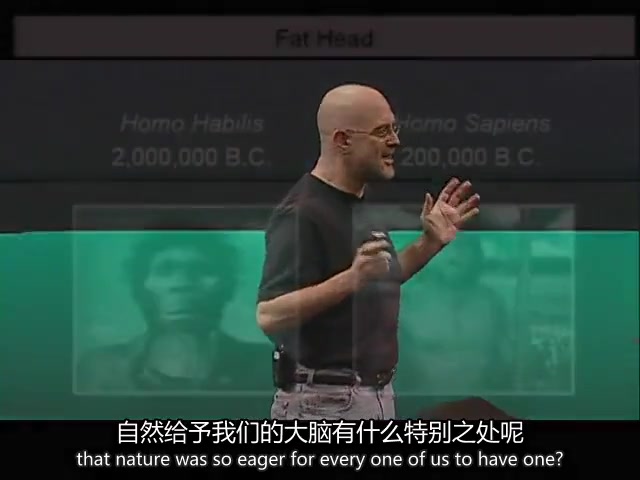 【TED】幸福的秘诀哔哩哔哩bilibili