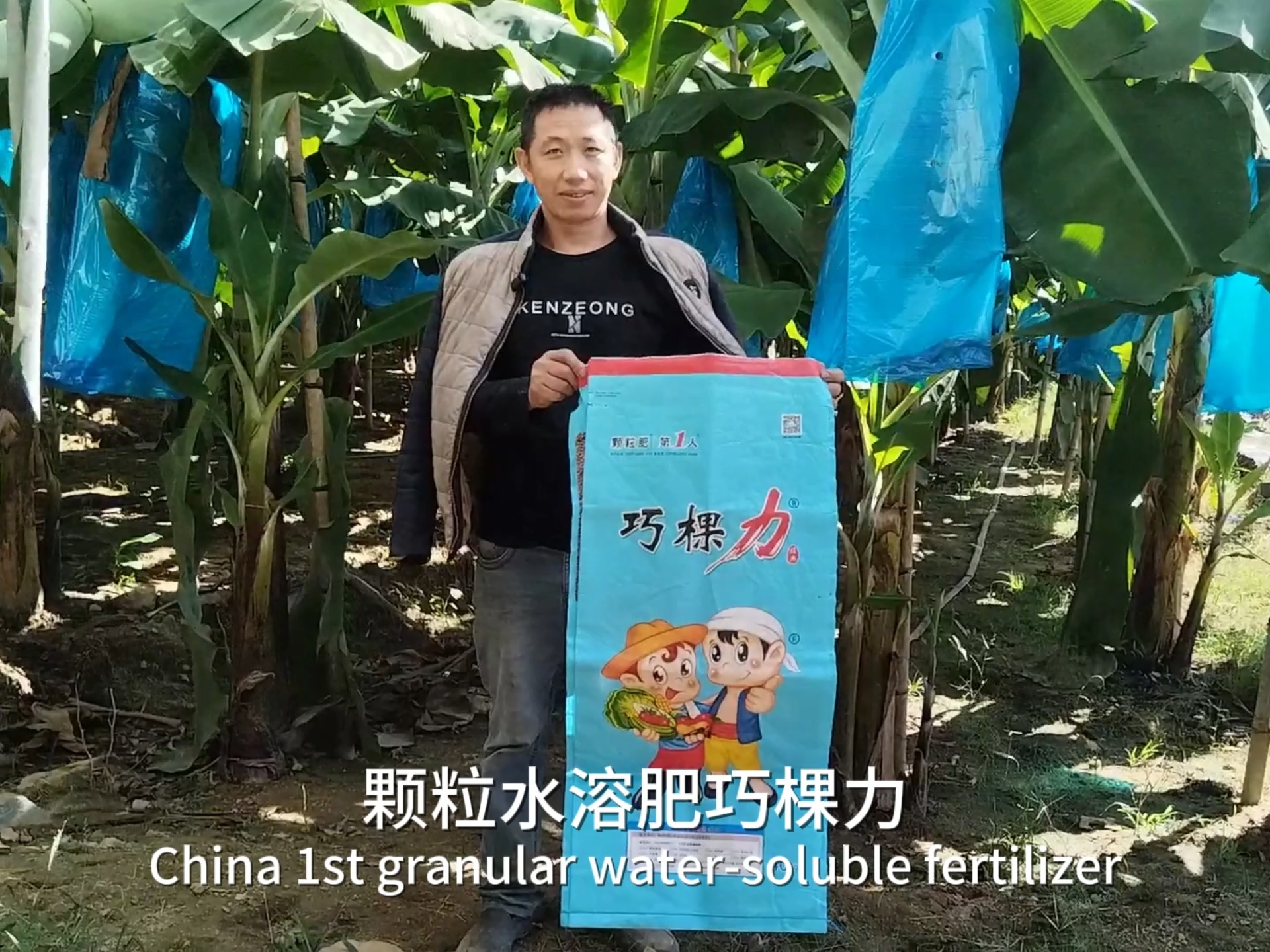 颗粒水溶肥#巧棵力香蕉