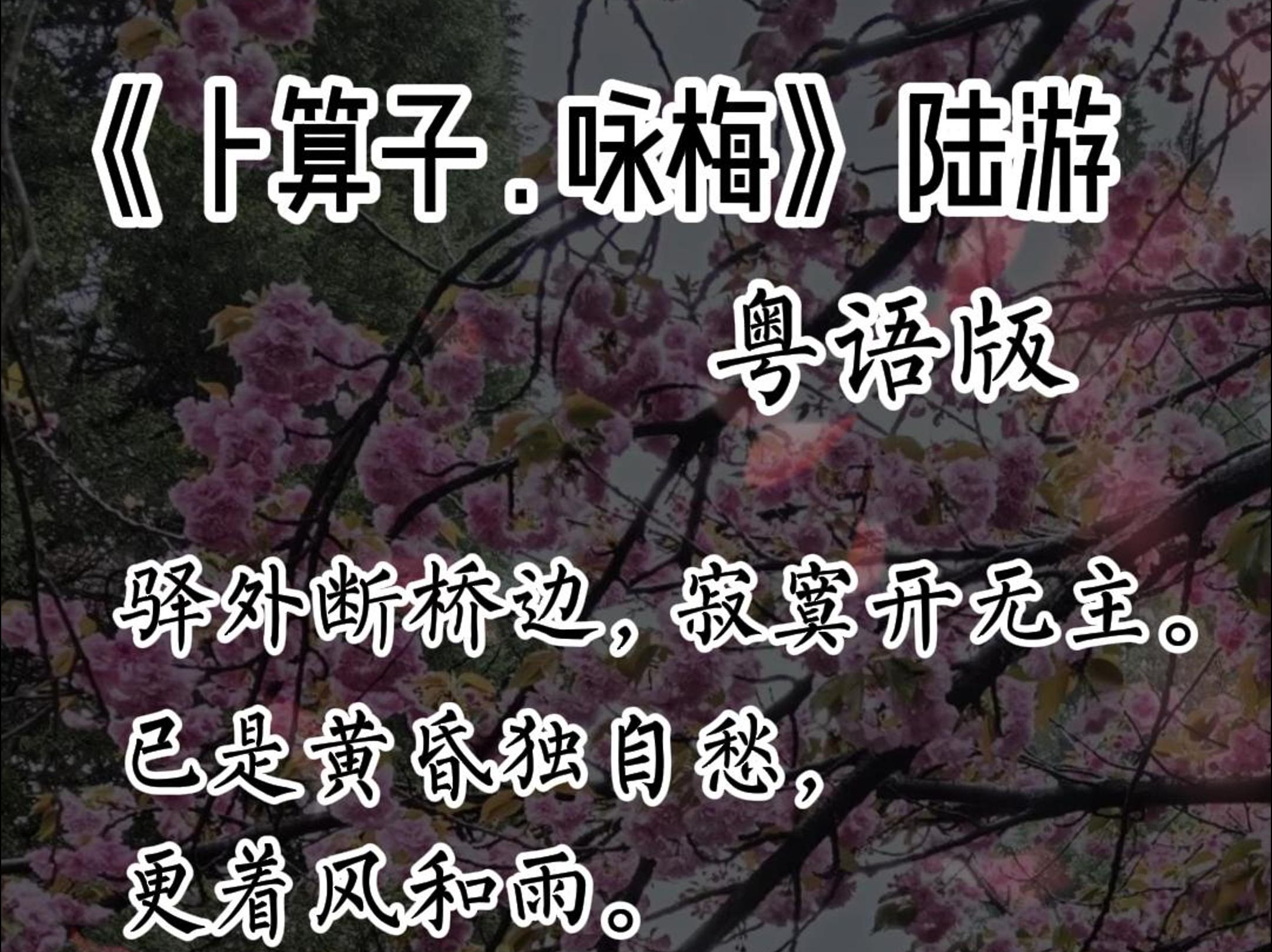 [图]卜算子 咏梅 陆游 粤语版