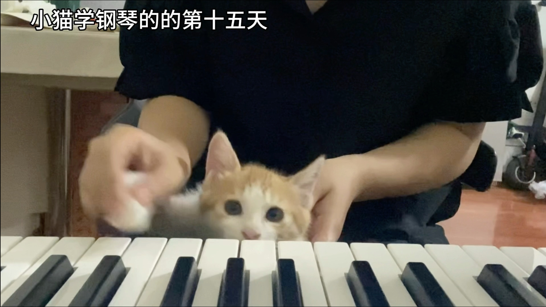 肖邦的妹妹肖茂咪弹奏下课铃