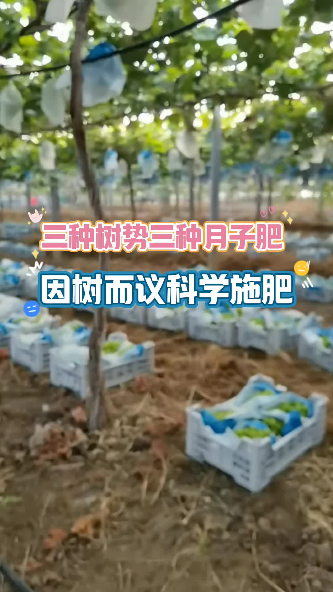 【中霖启汇添香娜娜】视频已打包,欢迎围观!哔哩哔哩bilibili