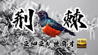 【HiRes无损】亚细亚旷世奇才/C8《荆棘》| 歌词太扎心了！