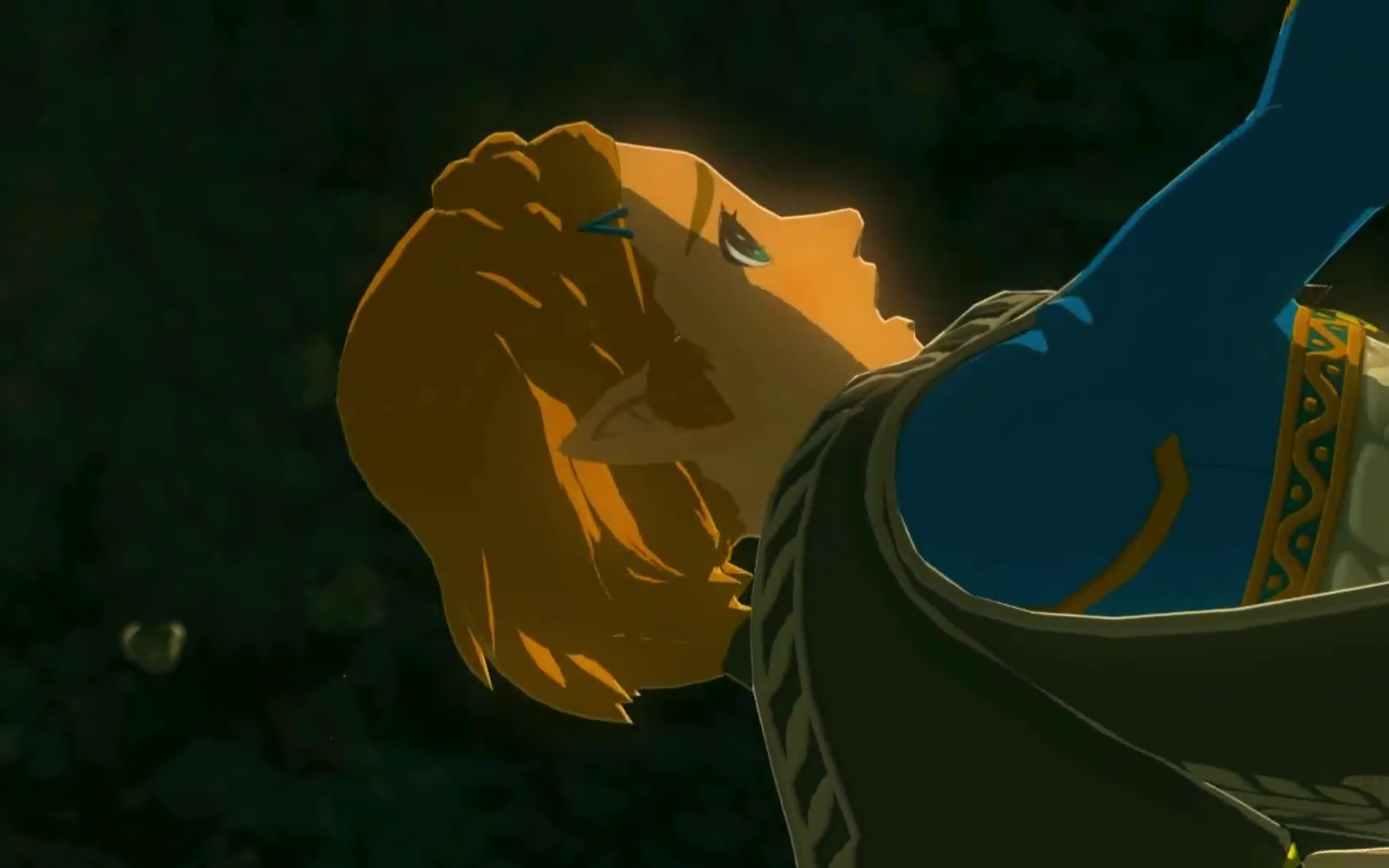 【塞尔达林克】王国的一滴泪滴在旷野也滴在谁的"空心"