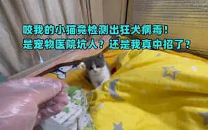 Download Video: 咬我的小猫竟检测出狂犬病毒！是宠物医院坑人？还是我真中招了？