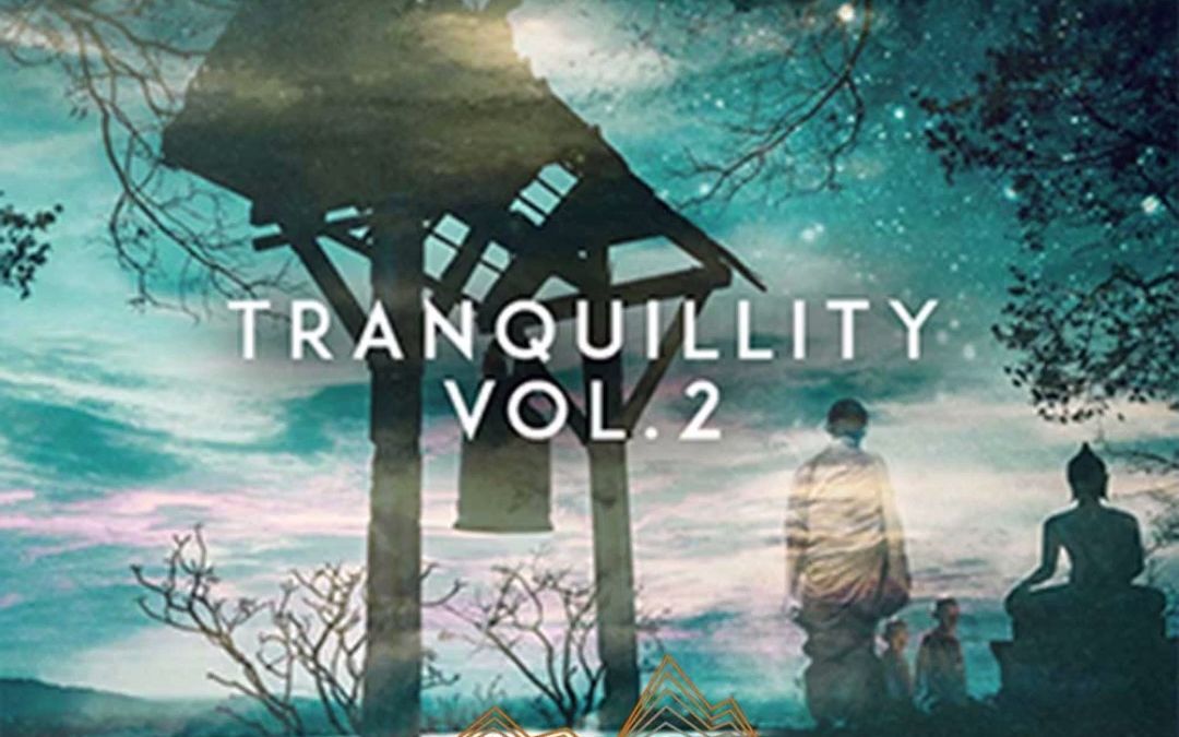 中国风民族古风 影视音效素材 Freaky Loops Tranquillity Vol 2 WAV 电影配乐采样包哔哩哔哩bilibili