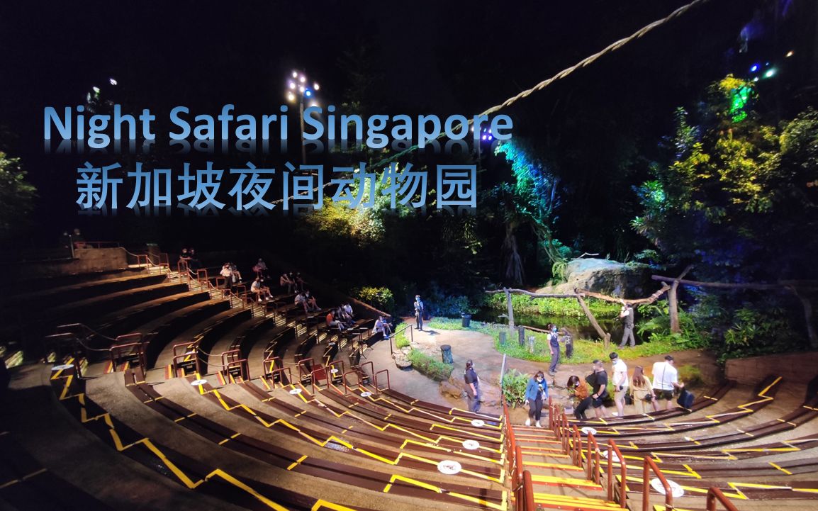 Night Safari Singapore 新加坡夜间动物园哔哩哔哩bilibili