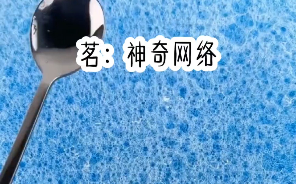 神奇网络哔哩哔哩bilibili