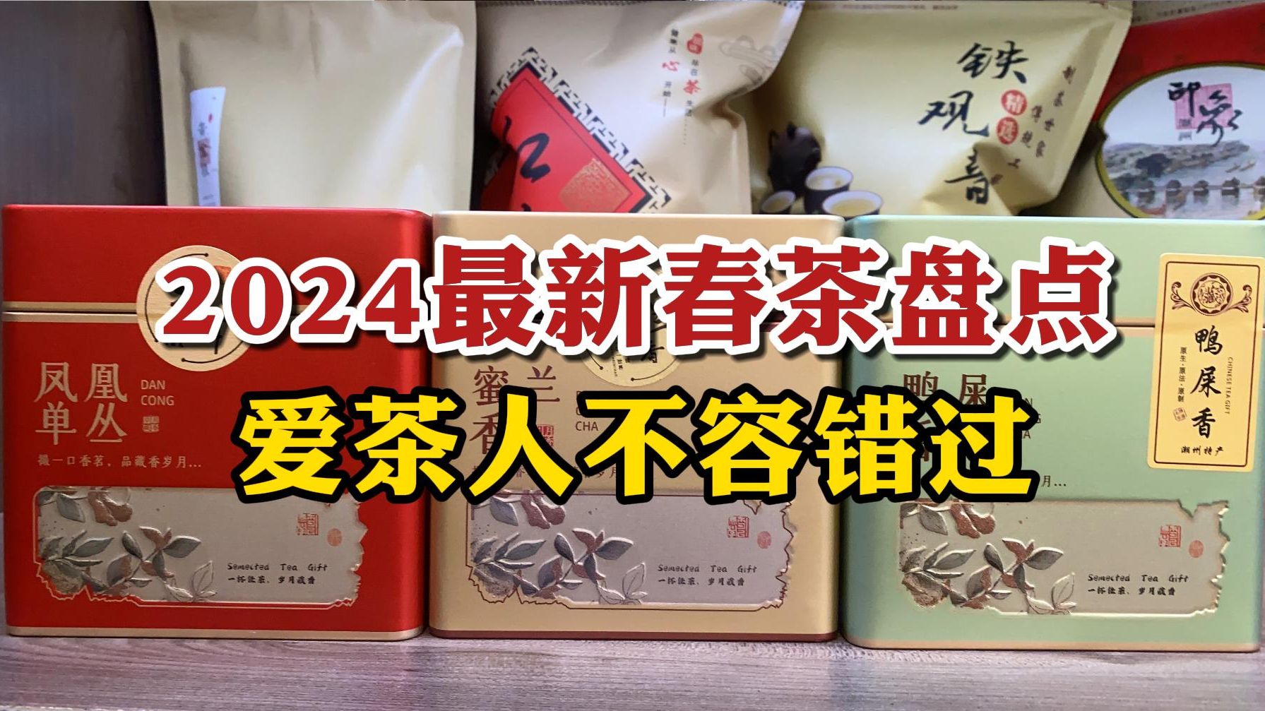 2024最新春茶盘点,爱茶人不容错过,全是宝藏茶!哔哩哔哩bilibili