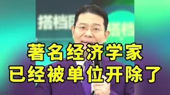 Download Video: 著名经济学家已经被单位开除了