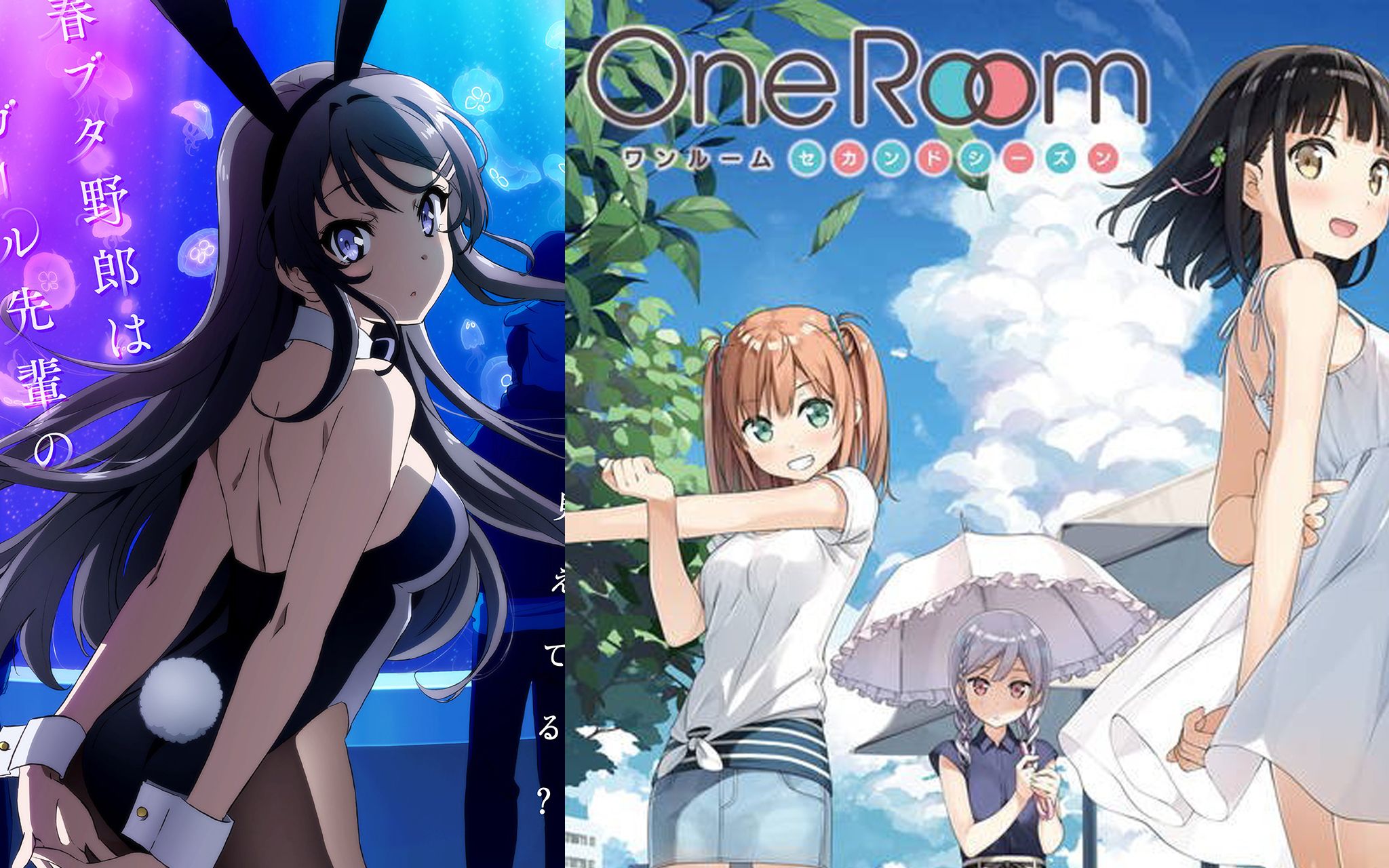 当我把青猪的op改成one room i的ed3后会发生什么