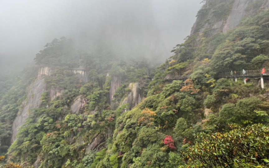 [图]雨中登山，让我看到了云雾缭绕、宛如人间仙境的三清山