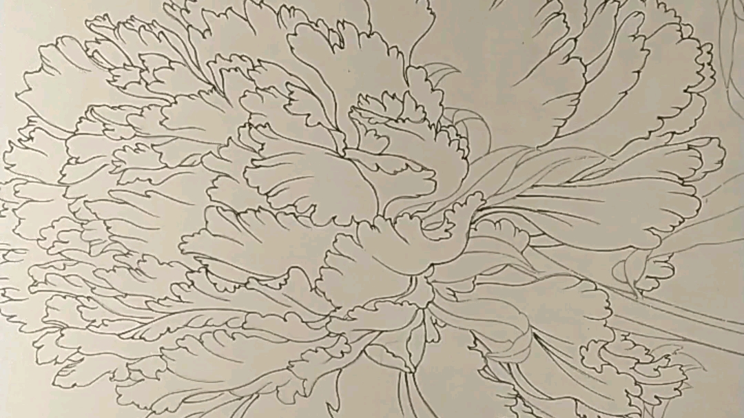 品字牡丹勾线2