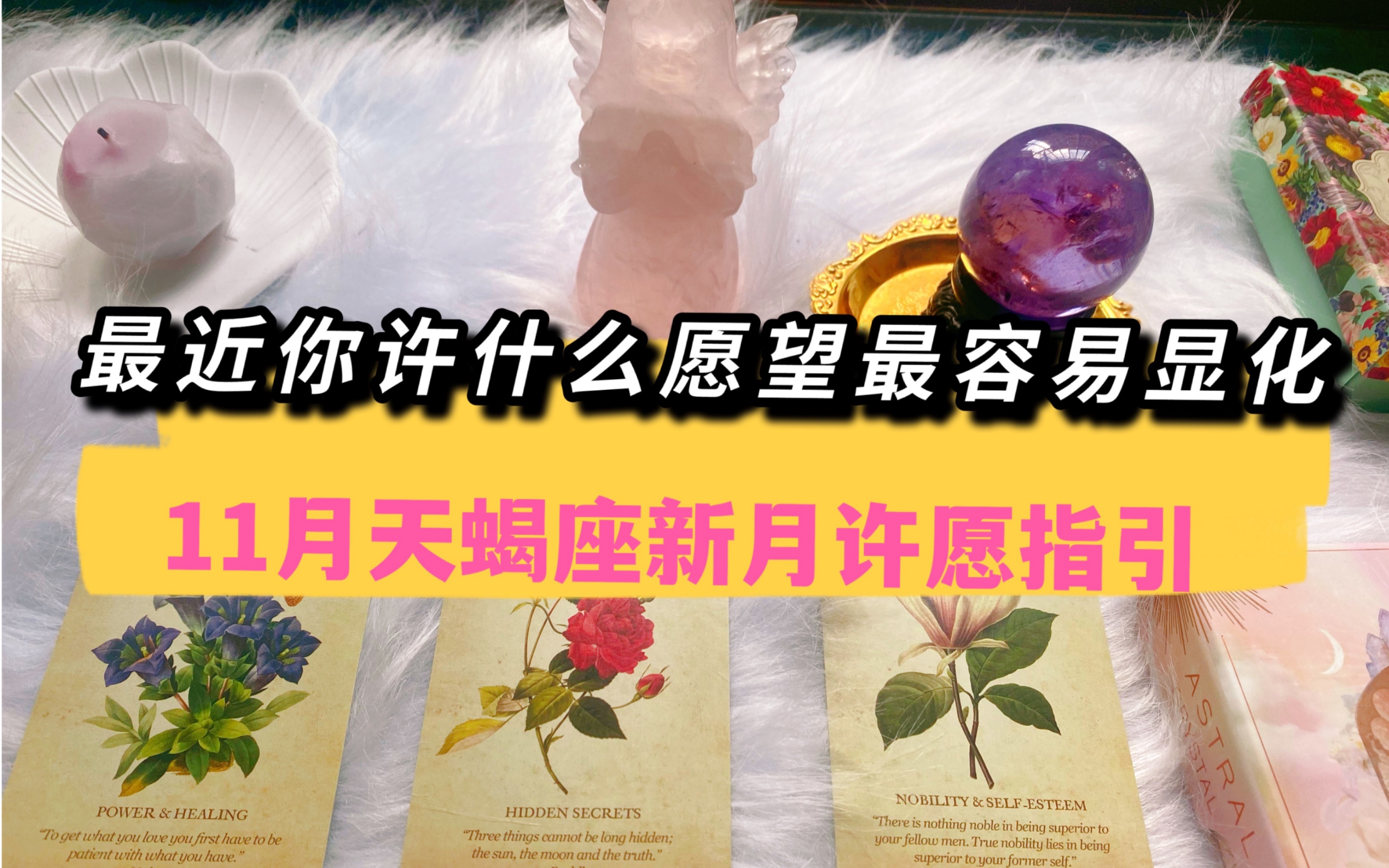 [图]AuroraMagick好运池｜最近你许什么愿望最容易实现呢？2021年11月天蝎座新月许愿指引