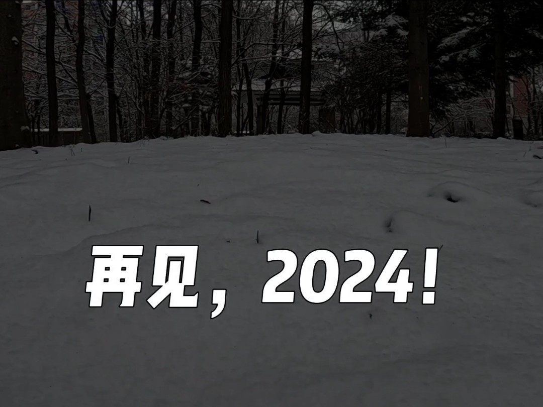 再见2024!