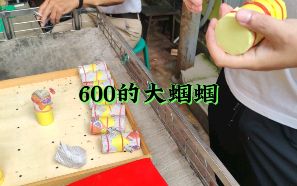 一条蝈蝈600,值吗?哔哩哔哩bilibili