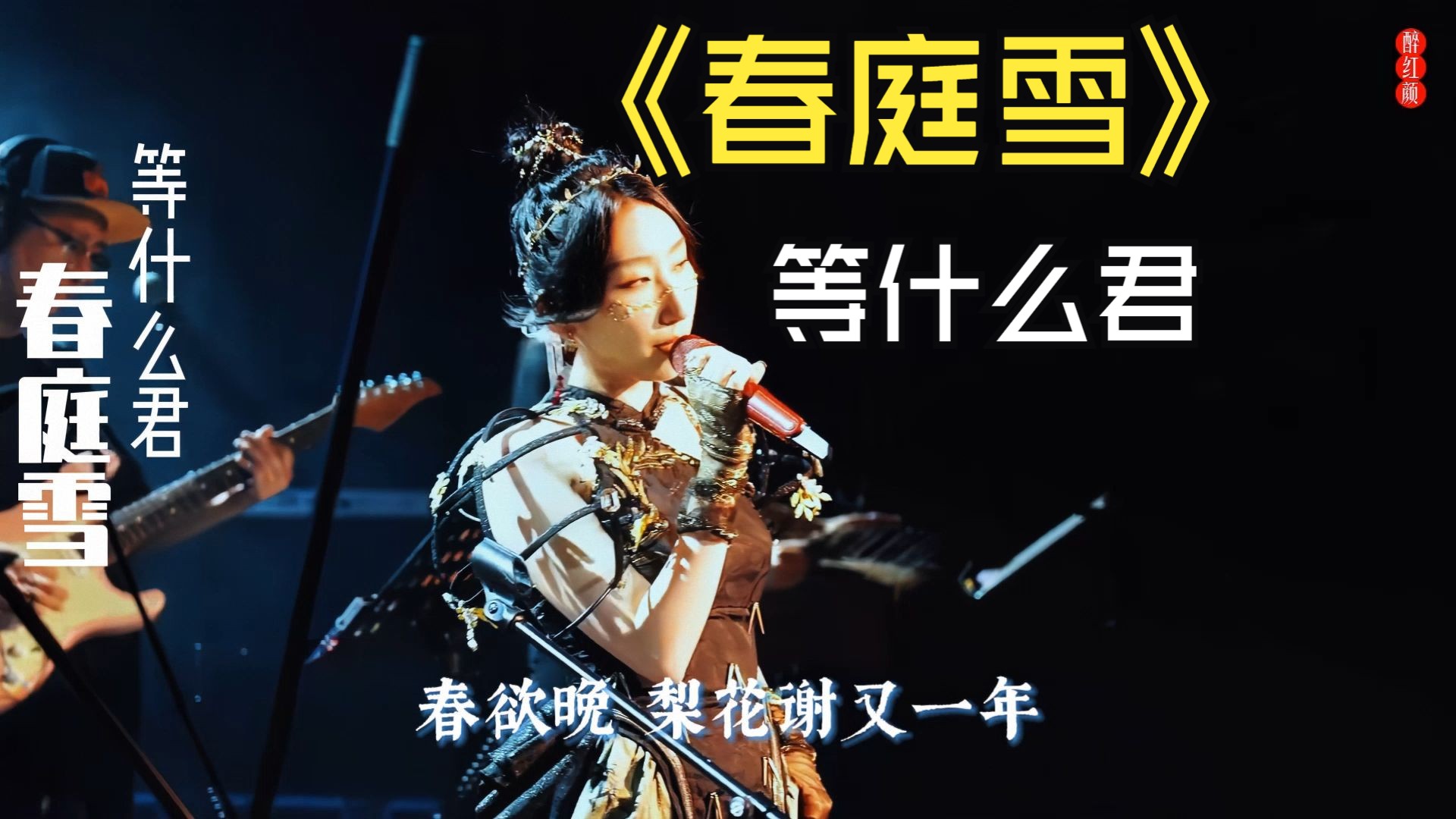 无人扶我青云志,我自踏雪至山巅,等什么君古风音乐《春庭雪》dj版