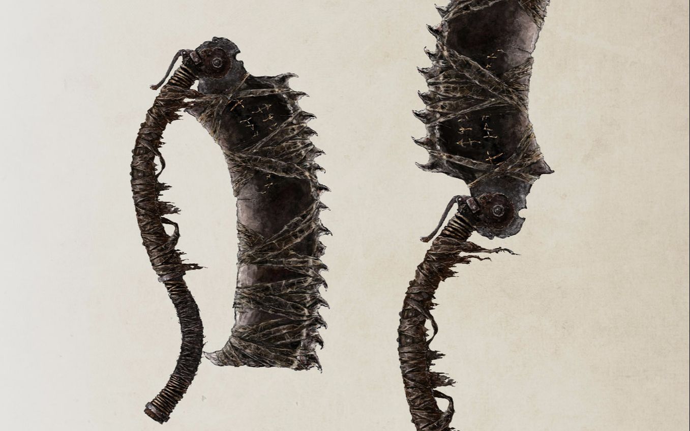 bloodborne64_血源诅咒 动作模组bug 千变万化的锯肉刀